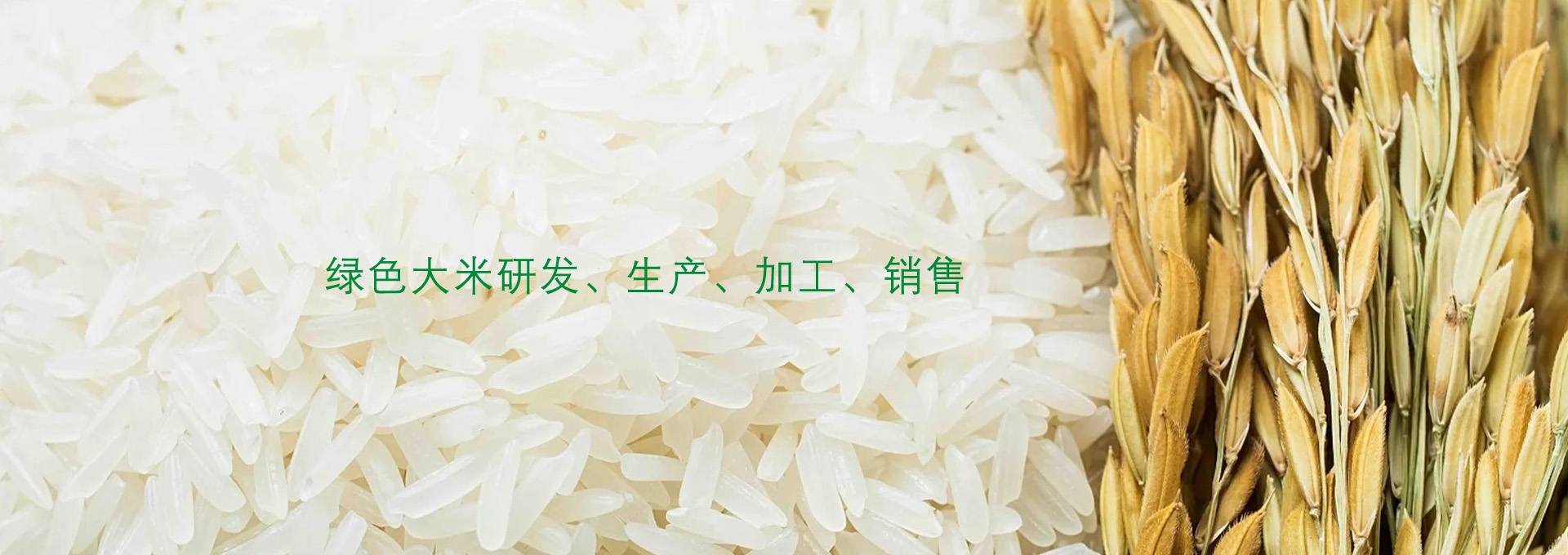 江苏焦点富硒农业有限公司