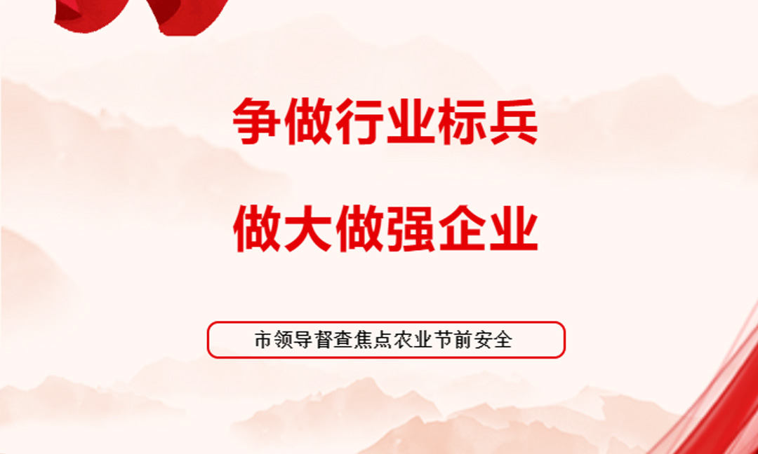 争做行业标兵，做大做强企业——市领导督查焦点农业节前安全